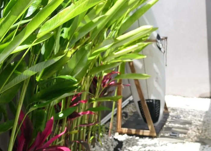 Omaira Satu, Entire - Private Pool Villa Uluwatu (Bali)